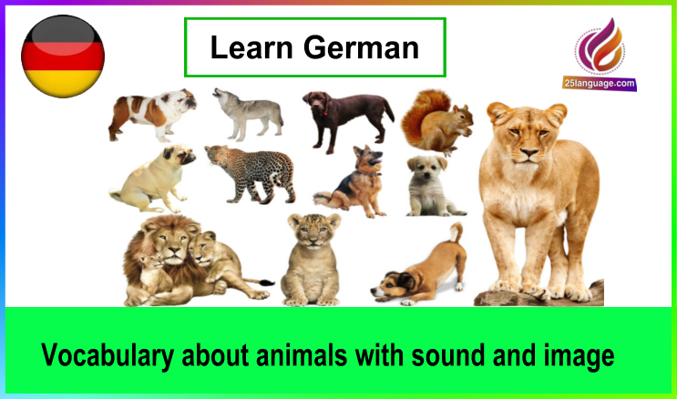 German vocabulary