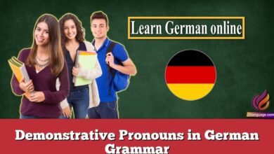 Demonstrative Pronouns in German Grammar