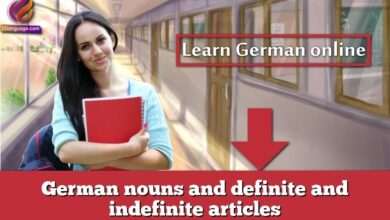 German nouns and definite and indefinite articles