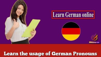 Learn the usage of German Pronouns