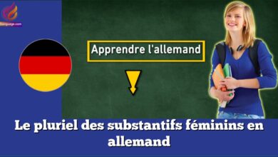 Le pluriel des substantifs féminins en allemand