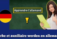 Verbe et auxiliaire werden en allemand