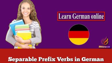 Separable Prefix Verbs in German