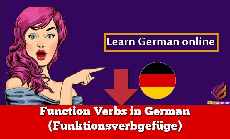 Function Verbs in German (Funktionsverbgefüge)