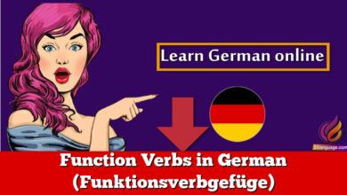 Function Verbs in German (Funktionsverbgefüge)