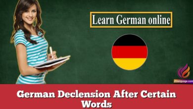 German Declension After Certain Words