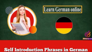 Self Introduction Phrases in German
