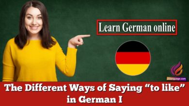 The Different Ways of Saying “to like” in German I