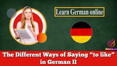 The Different Ways of Saying “to like” in German II