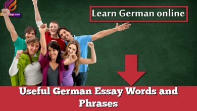 Useful German Essay Words and Phrases