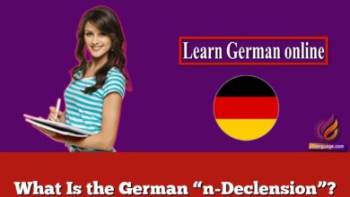 What Is the German “n-Declension”?