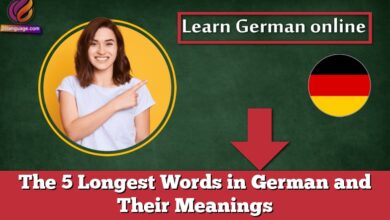 The 5 Longest Words in German and Their Meanings