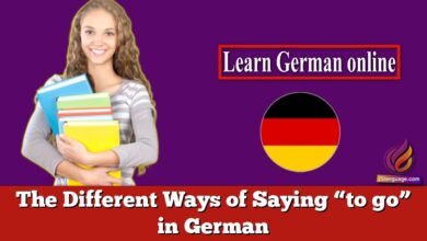 The Different Ways of Saying “to go” in German