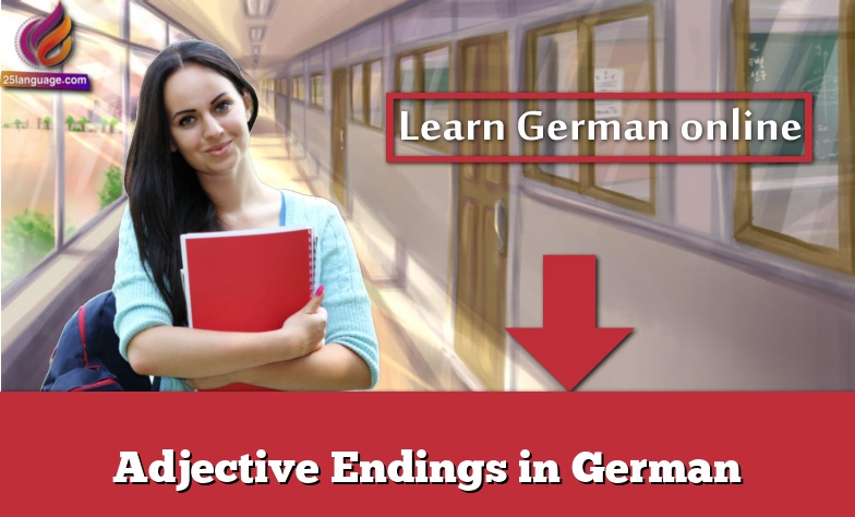 Adjective Endings in German