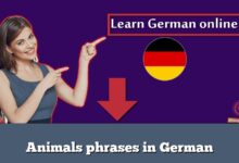 Animals phrases in German