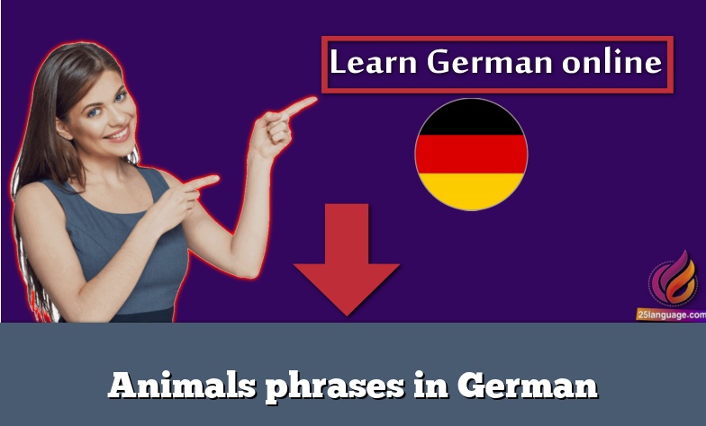 Animals phrases in German
