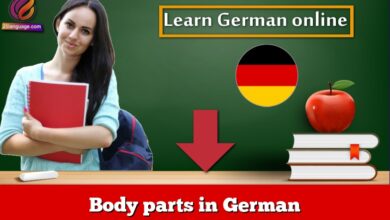 Body parts in German