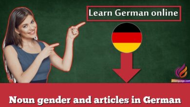 Noun gender and articles in German