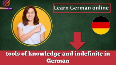 tools of knowledge and indefinite in German