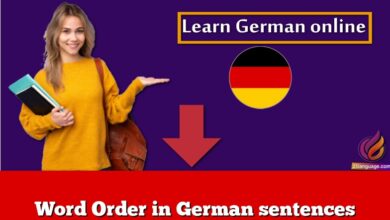 Word Order in German sentences