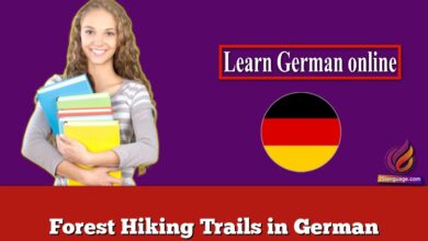 Forest Hiking Trails in German