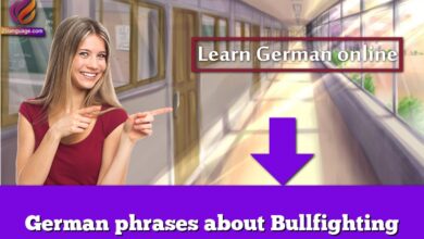 German phrases about Bullfighting
