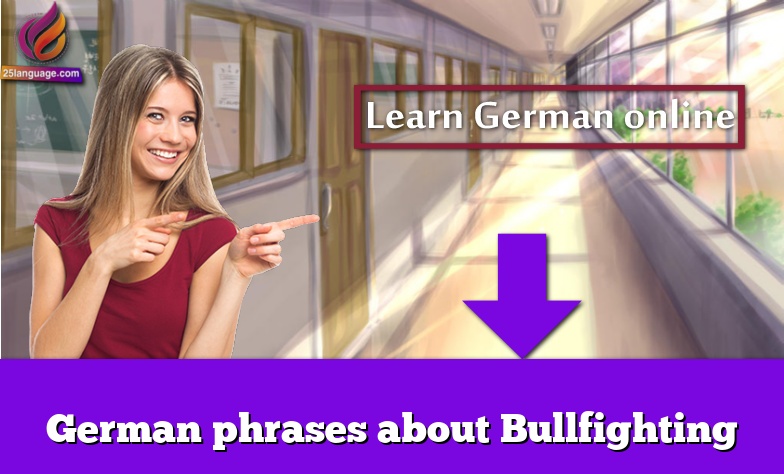 German phrases about Bullfighting