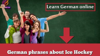 German phrases about Ice Hockey