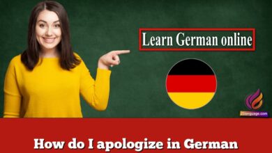 How do I apologize in German