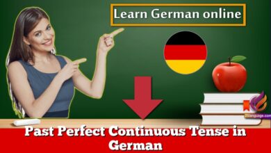 Past Perfect Continuous Tense in German