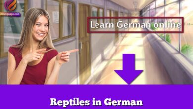 Reptiles in German