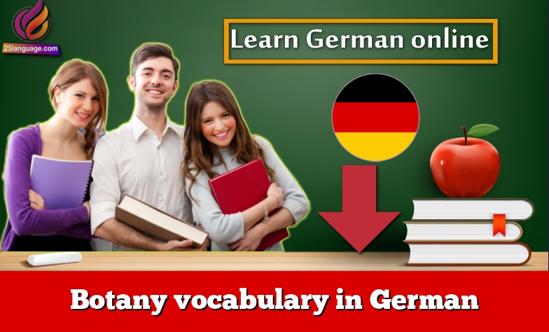 Botany vocabulary in German