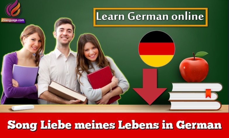 Song Liebe meines Lebens in German