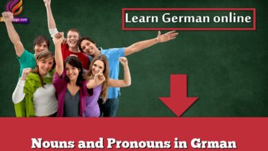 Nouns and Pronouns in Grman