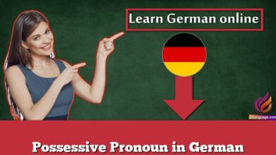 Possessive Pronoun in German