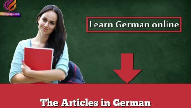 The Articles in German