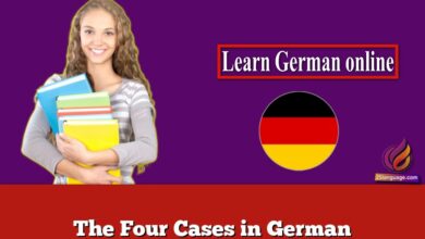 The Four Cases in German