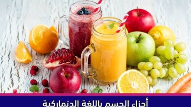 أجزاء الجسم باللغة الدنماركية