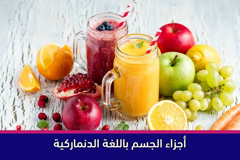 أجزاء الجسم باللغة الدنماركية