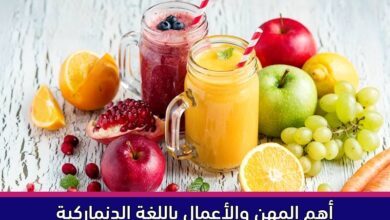 أهم المهن والأعمال باللغة الدنماركية
