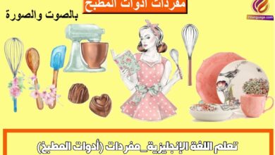 تعلم اللغة الإنجليزية_مفردات (أدوات المطبخ)
