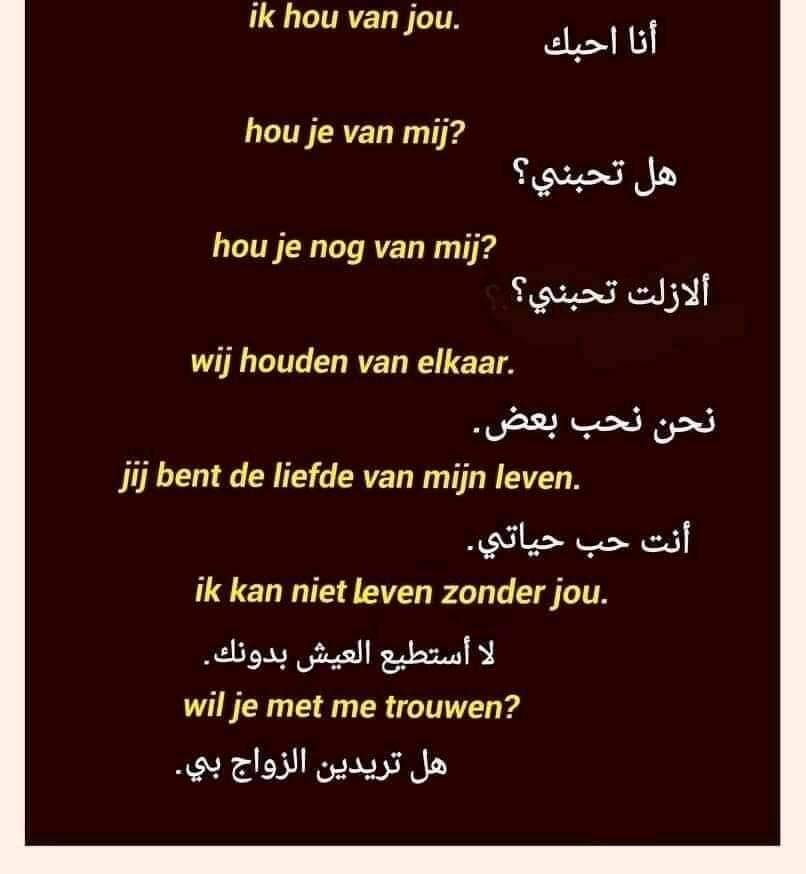 أحبك باللغة الهولندية