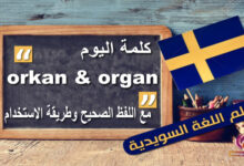 orkan و organ كلمتين متشابهتان في اللفظ مختلفتان كلياً في المعنى