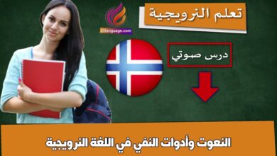 النعوت وأدوات النفي في اللغة النرويجية