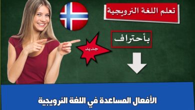 الأفعال المساعدة في اللغة النرويجية