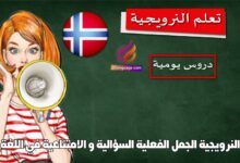 الجمل الفعلية السؤالية و الامتناعية في اللغة النرويجية