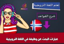 عبارات البحث عن وظيفة في اللغة النرويجية