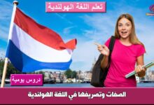 الصفات وتصريفها في اللغة الهولندية
