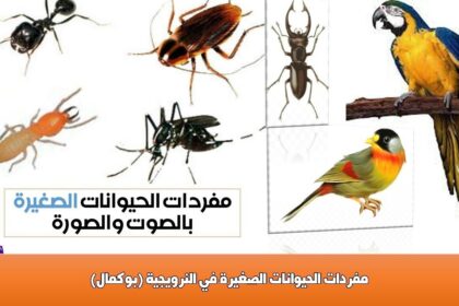 مفردات الحيوانات الصغيرة في النرويجية (بوكمال)