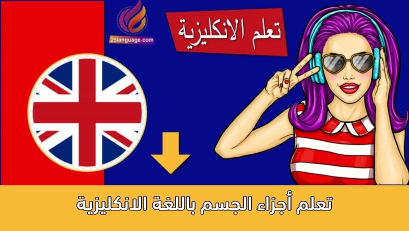 تعلم أجزاء الجسم باللغة الانكليزية